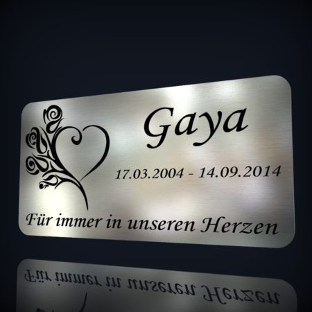 Gaya